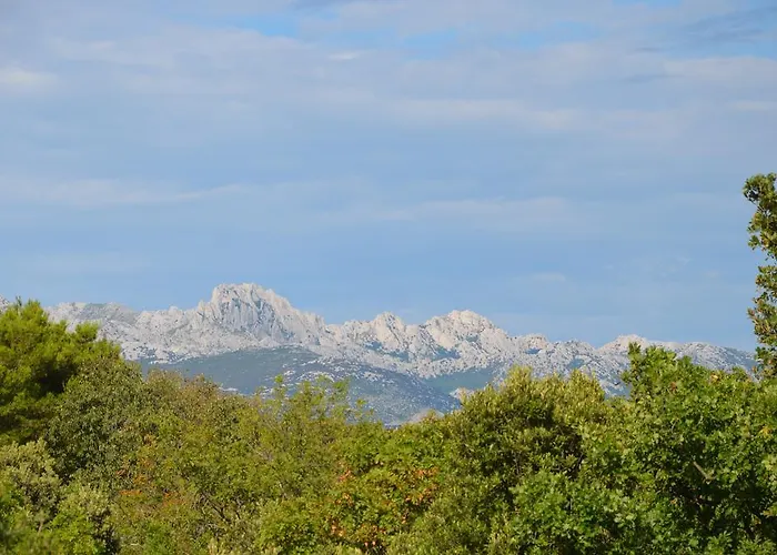 Delfin Apartamento *