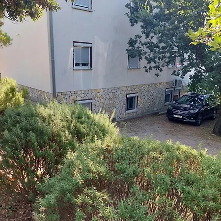 Delfin * ポセダリェ