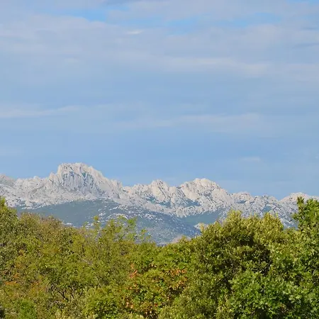 Delfin アパート *