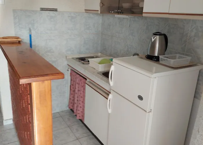 Delfin * 珀塞达耶