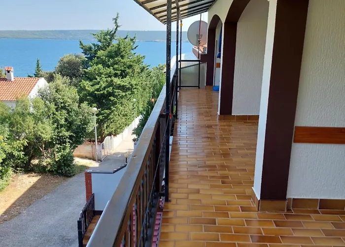 Delfin * 珀塞达耶