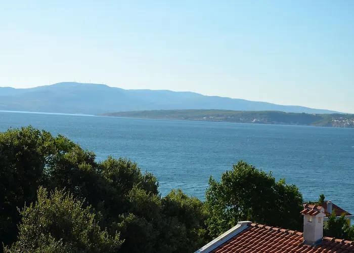 Delfin * 珀塞达耶